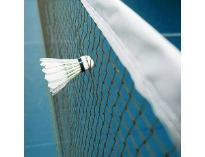 Mreža za badminton Esse Pro Champ